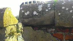 acastle
                          108850.jpg